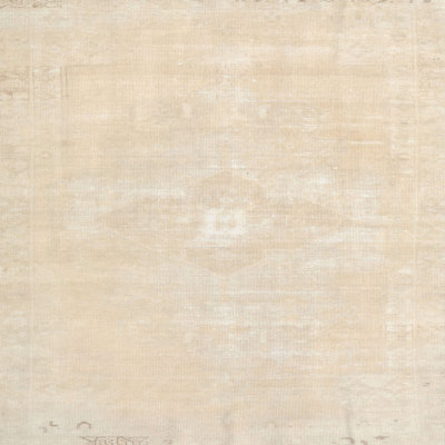 Oriental Indoor Rug