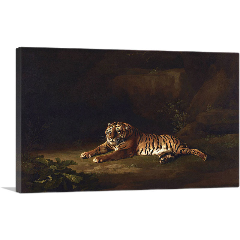 «Tiger 1770» par George Stubbs, reproduction d'art sur toile tendue, H 26 po x l 40 po x P 0,75 po