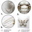 Captivating Moths Insect III - Art mural insectes et insectes-2068030503