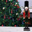 Layd Nutcracker