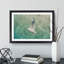 Seagull - Picture Frame Painting Print-56705401-56705404