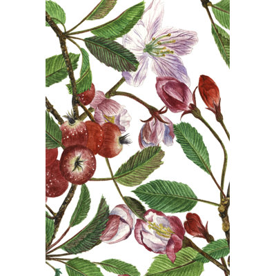 Malus Melliana I by Melissa Wang - Painting