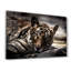 Decorative Tempered Glass Painting
