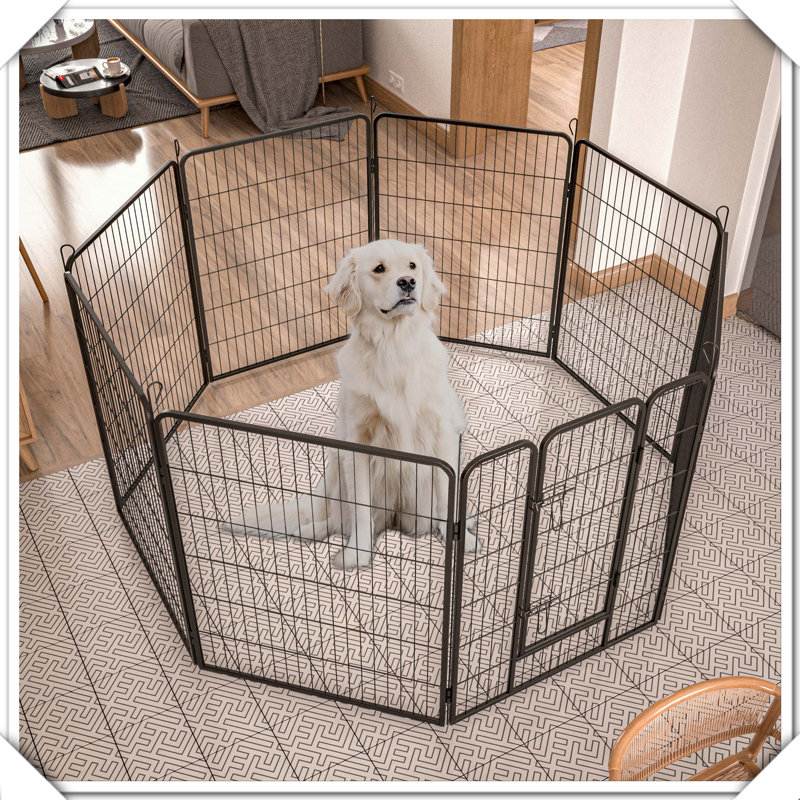Clôture d'exercice pour chien en métal robuste avec 8 panneaux