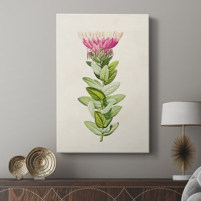 Pretty Pink Botanicals IV - Gallery Cavas