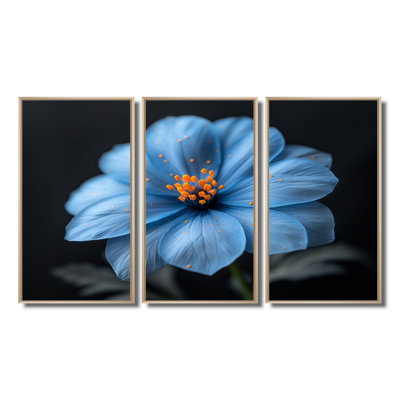 Bleu orange délicat Marigold Photo II - ensemble d'art mural souci