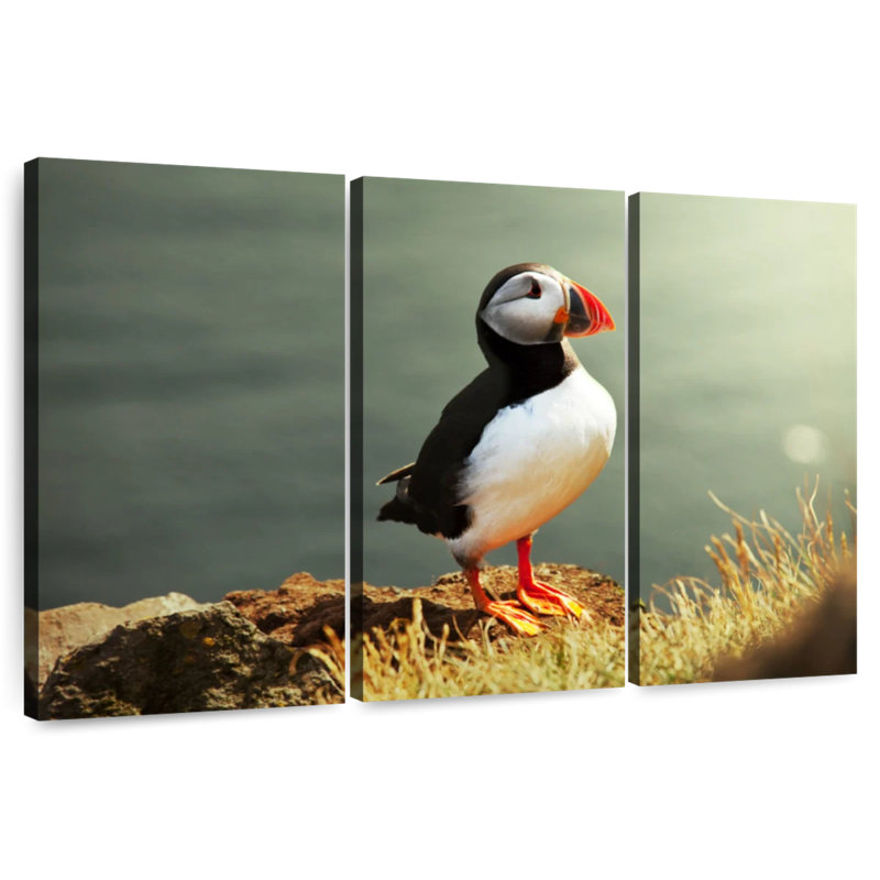 Brampt Proud Puffin, 42" H x 65" W