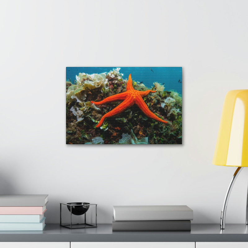 Wall Art on Canvas, 30.48cm H x 45.72cm W