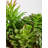 36cm Faux Succulent Plant in Stone Planter