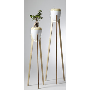 Support pour plante Boabab
