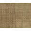 Oriental Area Rug in Beige/Gray