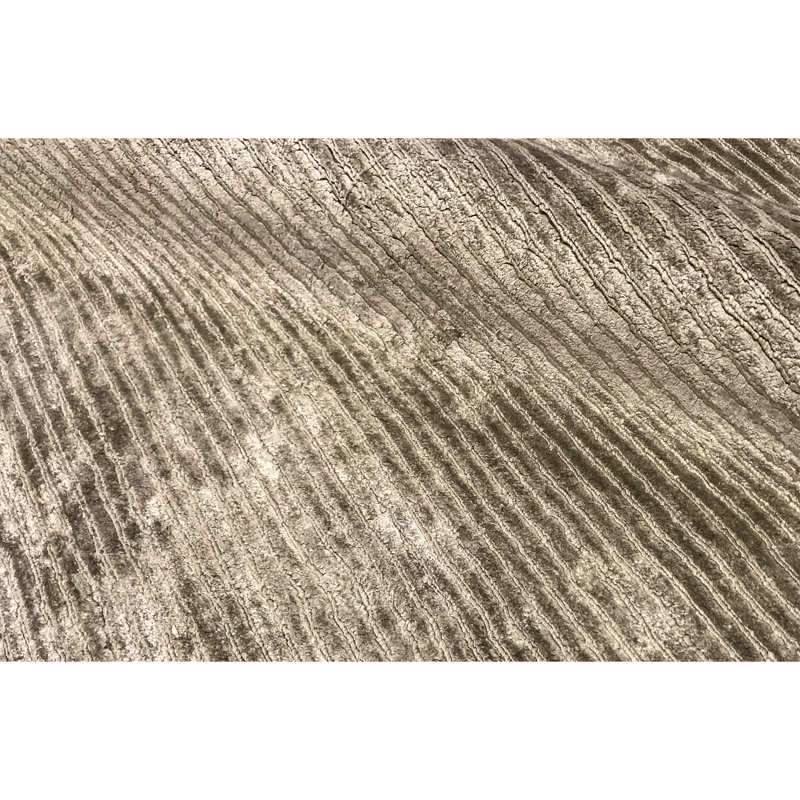 Tapis brun de haute qualité noué à la main