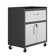 Sibley 31.5" H x 30" W x 18" D Garage Mobile Storage Cabinet
