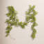 Guirlande 6 'Boxwood