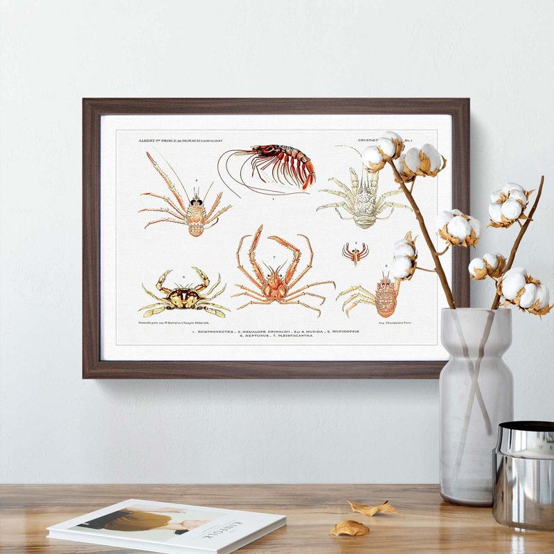 Crabs & Shrimps by Albert I - Picture Frame Painting Print, 27cm H x 36cm W x 2cm D, Walnut Framed