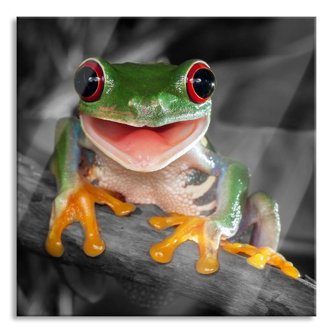 Glasbild Lachender Frosch mit Roten Augen auf Ast