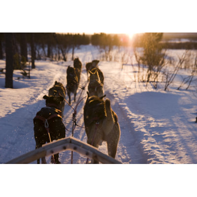 " Dog Sleigh " by Supermoose