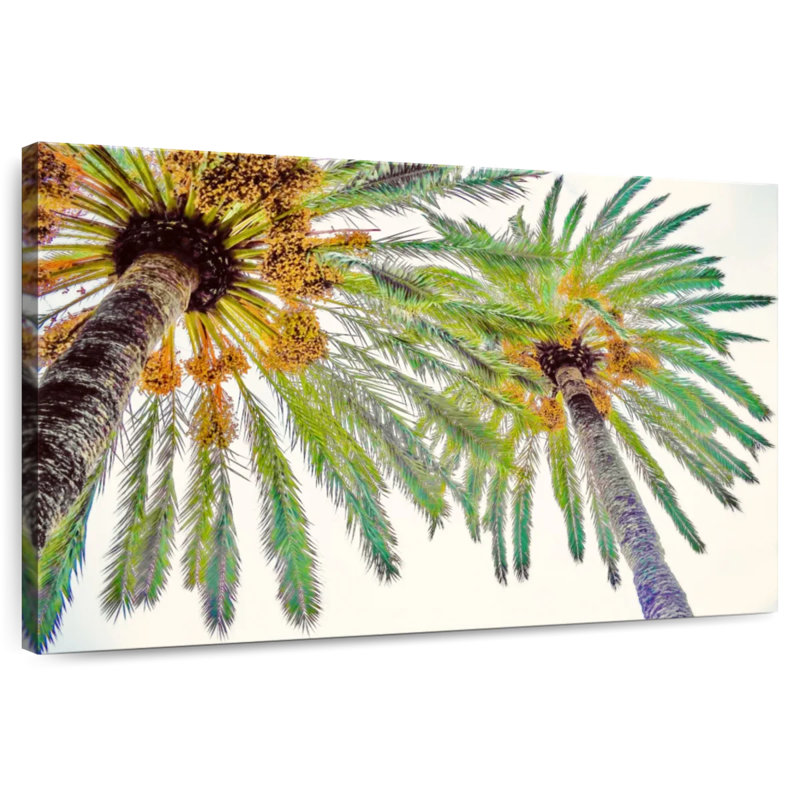 Harnek Chic Palms II, H 8 po x l 12 po