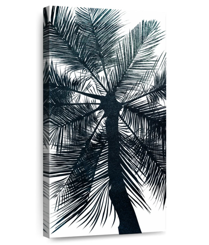 Miami Beach Palm Tree