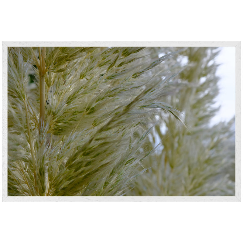 Lynnea Single Picture Frame Print, White Framed, 76cm H x 114cm W x 4cm D