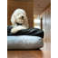 Signature Pillow/Classic Bed-1520193526-1520193524
