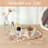 Guein Rectangle Natural Marble Tray,Calacatta Viola