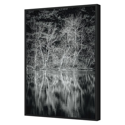 Lowland Winter Forest No 15, Tiger Mountain Print by Bisig, Steve