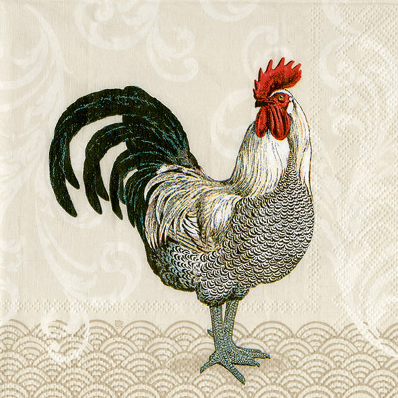 Disposable Paper Napkins