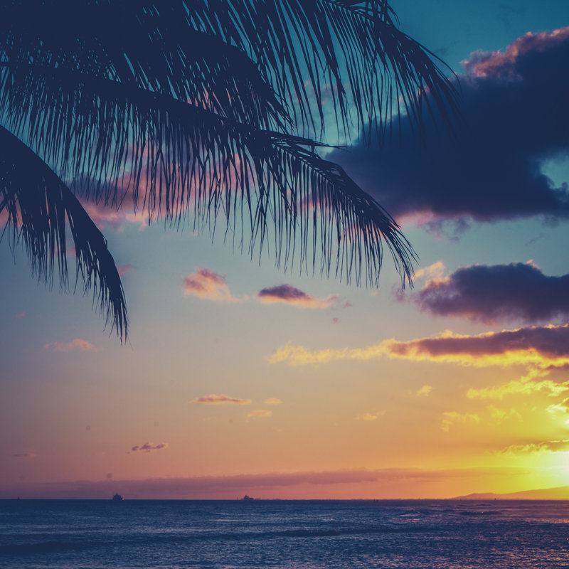 «Tropical Sunset» par Mrdoomits - Photographie sur toile tendue, L 30 po x H 30 po