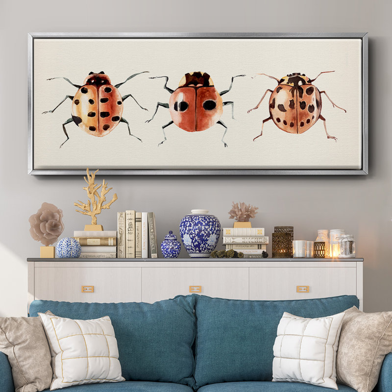 Coccinelle