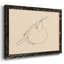 Citrus Contour II - impression sur toile tendue-96286351-96286348