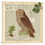 Lodge Collage I, impression sur toile tendue-18882637-74282899-74282900