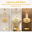 Alarica 6 - Light Chandelier