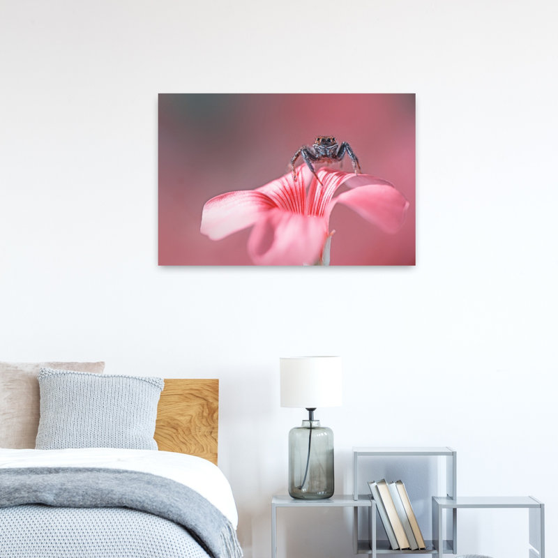 Jumping Spider Pink Blossom Delicate Spider Flower Nature Wall Art Print 1 Piece Wrapped Canvas Wall Art