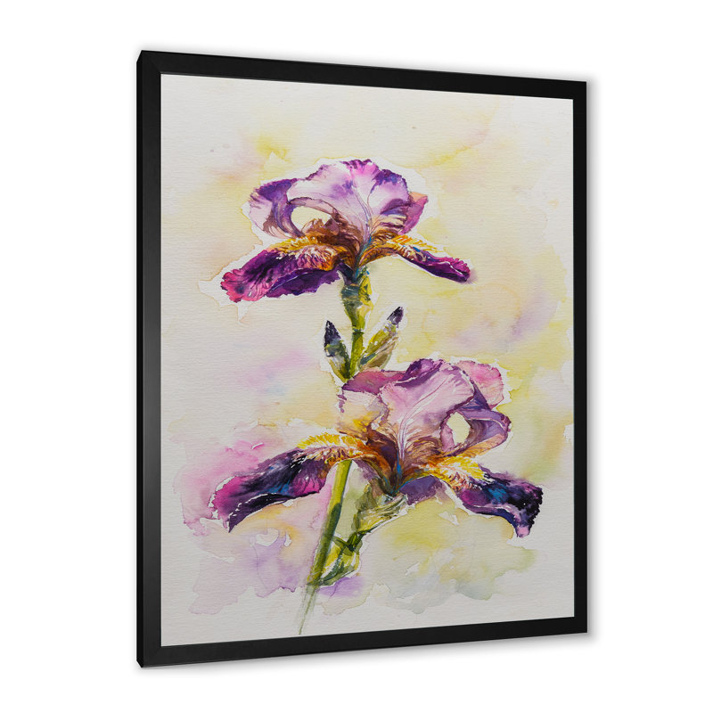 Aquarelle Iris fleur rose - décoration murale traditionnelle sur toile, Toile avec cadre photo noir
