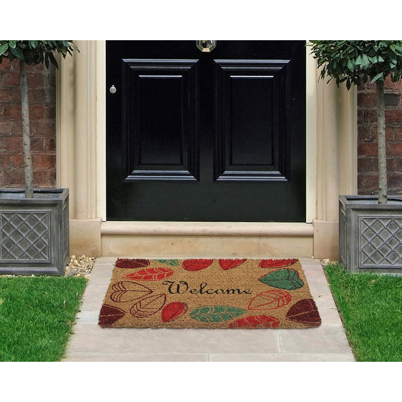 Haleburg Non-Slip Indoor Doormat