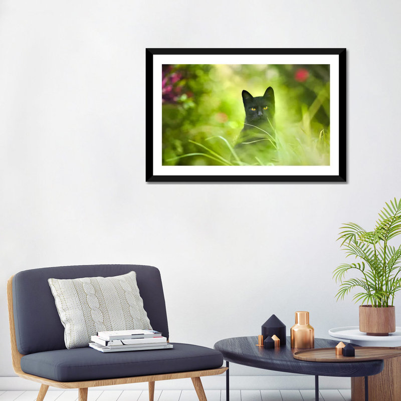 « Black Cat » par Ben Heine-reproduction de photo, Papier encadré noir, Blanc, H 24 po x l 32 po x P 1 po