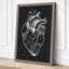 Anatomical Heart Study Modern - Wrapped Canvas-330837855-330837848