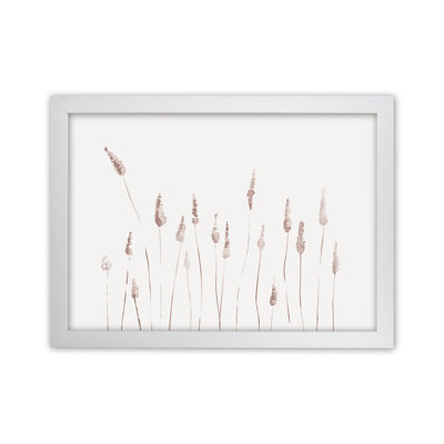 Botanicals II - Print