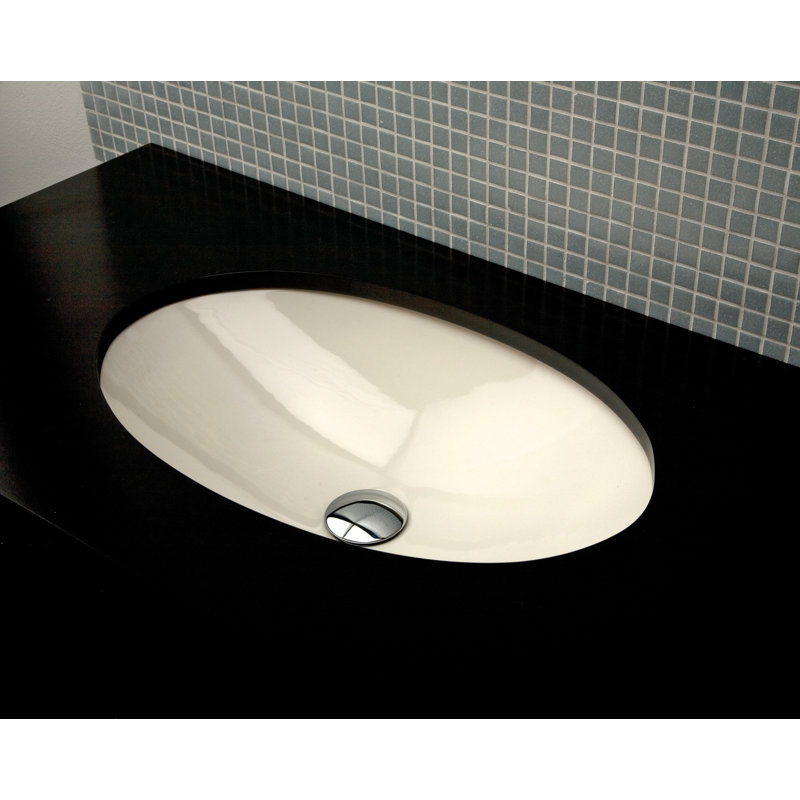 Euro 23.12'' L Bathroom Sink