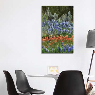 Bluebonnet, Paintbrush Cactus, Texas And Pricky Pear - Vertical by Tim Fitzharris - Wrapped Canvas Print