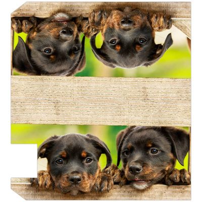 Couvercle de boîte aux lettres Puppy Dog