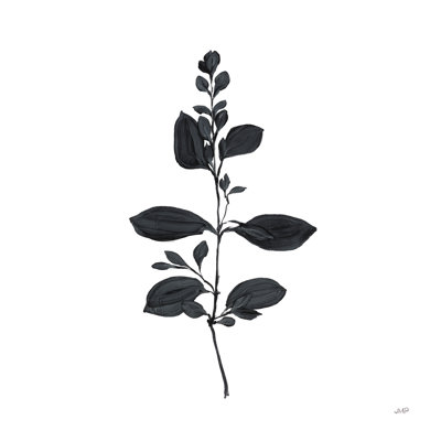 Botanical Study Branch by Julia Purinton - Wrapped Canvas Print
