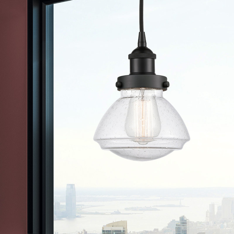 Luminaire suspendu simple à 1 lumière Caille, Noir mat
