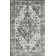 Raghdah Oriental Indoor Rug