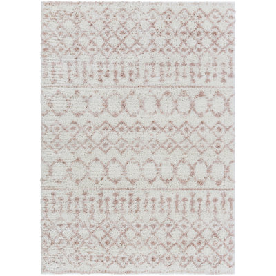 Modern Shaggy Area Cream/Pink