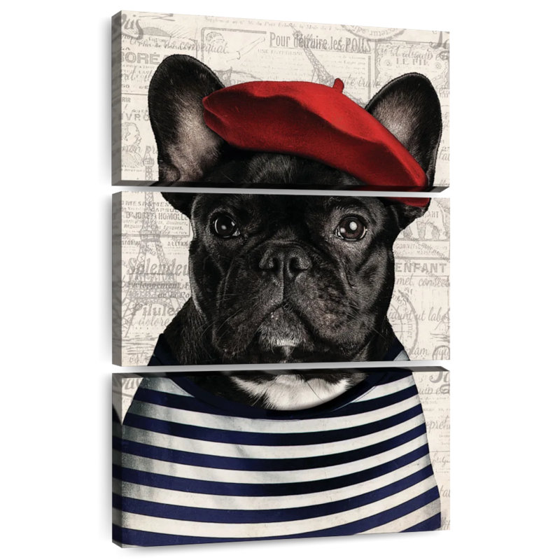 Adorable bouledogue français Brampt