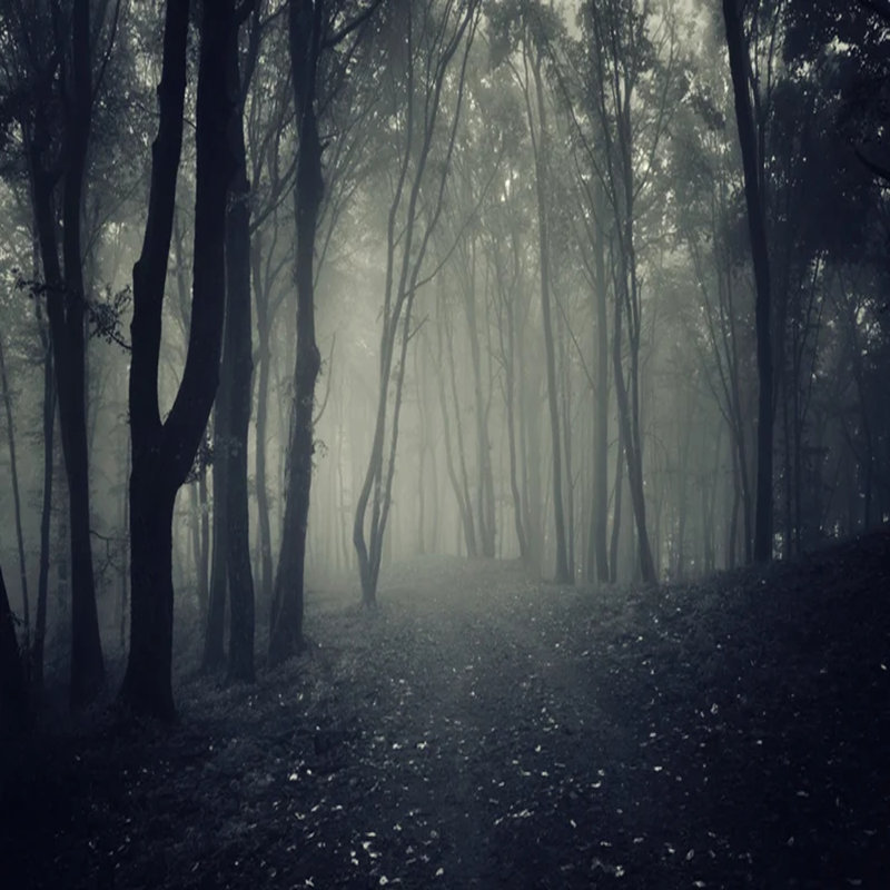Murmure de brouillard dans le creux, L 110,04 po x l 161 po