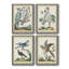 «Pastel Birds I», toile encadrée de qualité supérieure - prête à être accrochée-794121035-794121044