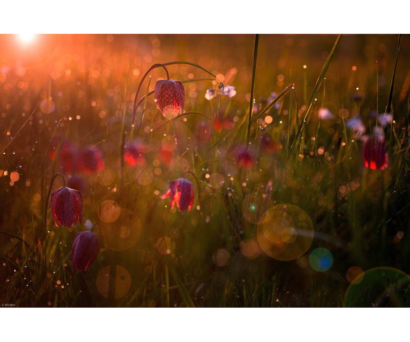 Wrapped Canvas Print, 60.96 cm H x 91.44 cm W